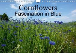 Cornflowers Fascination in Blue (Wall Calendar 2019 DIN A4 Landscape)