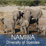NAMIBIA Diversity of Species (Wall Calendar 2019 300 × 300 mm Square)