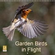 Garden Birds in Flight (Wall Calendar 2019 300 × 300 mm Square)