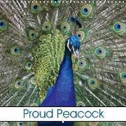 Proud Peacock (Wall Calendar 2019 300 × 300 mm Square)