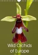 Wild Orchids of Europe (Wall Calendar 2019 DIN A4 Portrait)