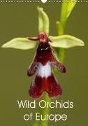 Wild Orchids of Europe (Wall Calendar 2019 DIN A3 Portrait)