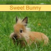 Sweet Bunny (Wall Calendar 2019 300 × 300 mm Square)
