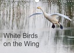 White Birds on the Wing (Wall Calendar 2019 DIN A4 Landscape)
