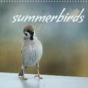 summerbirds (Wall Calendar 2019 300 × 300 mm Square)
