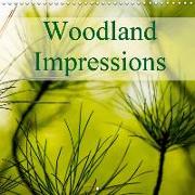 Woodland Impressions (Wall Calendar 2019 300 × 300 mm Square)