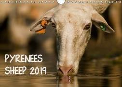 PYRENEES SHEEP 2019 (Wall Calendar 2019 DIN A4 Landscape)