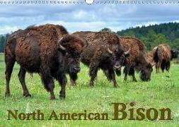 North American Bison (Wall Calendar 2019 DIN A3 Landscape)