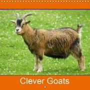 Clever Goats (Wall Calendar 2019 300 × 300 mm Square)