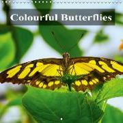 Colourful Butterflies (Wall Calendar 2019 300 × 300 mm Square)