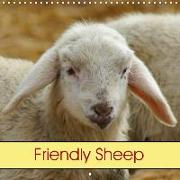 Friendly Sheep (Wall Calendar 2019 300 × 300 mm Square)