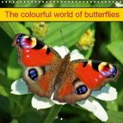 The colourful world of butterflies (Wall Calendar 2019 300 × 300 mm Square)