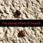 The secret World of Insects (Wall Calendar 2019 300 × 300 mm Square)