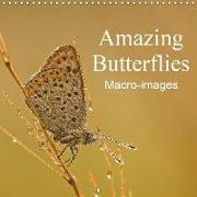 Amazing Butterflies Macro-images (Wall Calendar 2019 300 × 300 mm Square)