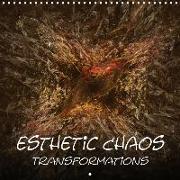 Esthetic Chaos Transformations (Wall Calendar 2019 300 × 300 mm Square)