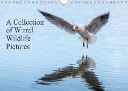 A Collection of Wirral Wildlife Pictures (Wall Calendar 2019 DIN A4 Landscape)