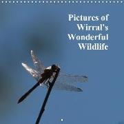 Pictures of Wirral's Wonderful Wildlife (Wall Calendar 2019 300 × 300 mm Square)