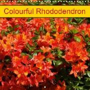 Colourful Rhododendron (Wall Calendar 2019 300 × 300 mm Square)