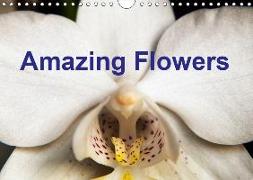 Amazing flowers (Wall Calendar 2019 DIN A4 Landscape)