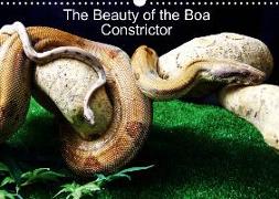 The Beauty of the Boa Constrictors (Wall Calendar 2019 DIN A3 Landscape)