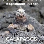 Galapagos magnificent islands (Wall Calendar 2019 300 × 300 mm Square)