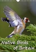 Native Birds of Britain (Wall Calendar 2019 DIN A4 Portrait)