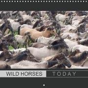 Wild horses today (Wall Calendar 2019 300 × 300 mm Square)