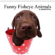 Funny Fisheye Animals (Wall Calendar 2019 300 × 300 mm Square)