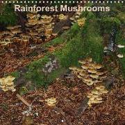 Rainforest Mushrooms (Wall Calendar 2019 300 × 300 mm Square)
