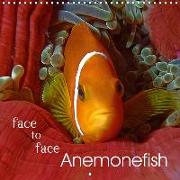 Anemonefish - face to face (Wall Calendar 2019 300 × 300 mm Square)