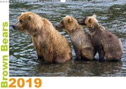 Brown Bears 2019 UK-Version (Wall Calendar 2019 DIN A3 Landscape)