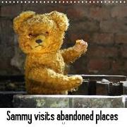 Sammy visits abandoned places (Wall Calendar 2019 300 × 300 mm Square)