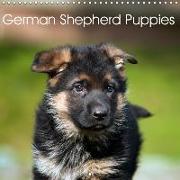 German Shepherd Puppies (Wall Calendar 2019 300 × 300 mm Square)