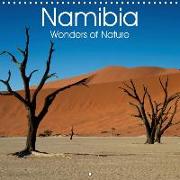 Namibia - Wonders of Nature (Wall Calendar 2019 300 × 300 mm Square)