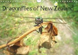 Dragonflies of New Zealand (Wall Calendar 2019 DIN A4 Landscape)