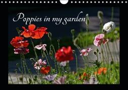 Poppies in my garden (Wall Calendar 2019 DIN A4 Landscape)