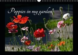 Poppies in my garden (Wall Calendar 2019 DIN A3 Landscape)