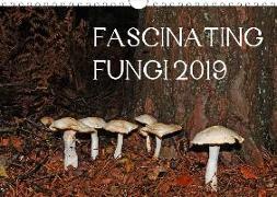 FASCINATING FUNGI 2019 (Wall Calendar 2019 DIN A4 Landscape)