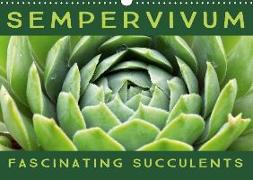 Sempervivum Fascinating Succulents (Wall Calendar 2019 DIN A3 Landscape)