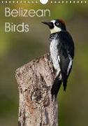 Belizean Birds (Wall Calendar 2019 DIN A4 Portrait)