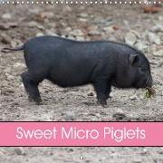 Sweet Micro Piglets (Wall Calendar 2019 300 × 300 mm Square)