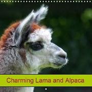 Charming Lama and Alpaca (Wall Calendar 2019 300 × 300 mm Square)