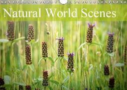 Natural World Scenes (Wall Calendar 2019 DIN A4 Landscape)