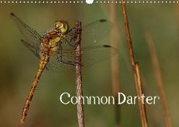 Common Darter (Wall Calendar 2019 DIN A3 Landscape)