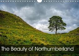 The Beauty of Northumberland (Wall Calendar 2019 DIN A4 Landscape)