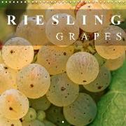 Riesling Grapes (Wall Calendar 2019 300 × 300 mm Square)