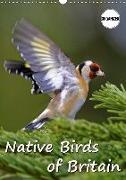 Native Birds of Britain (Wall Calendar 2019 DIN A3 Portrait)