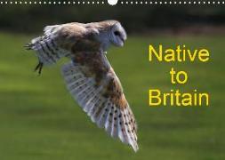 Native to Britain (Wall Calendar 2019 DIN A3 Landscape)