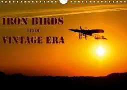 Iron birds from vintage era (Wall Calendar 2019 DIN A4 Landscape)