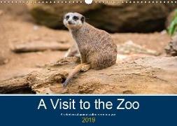 A Visit to the Zoo (Wall Calendar 2019 DIN A3 Landscape)
